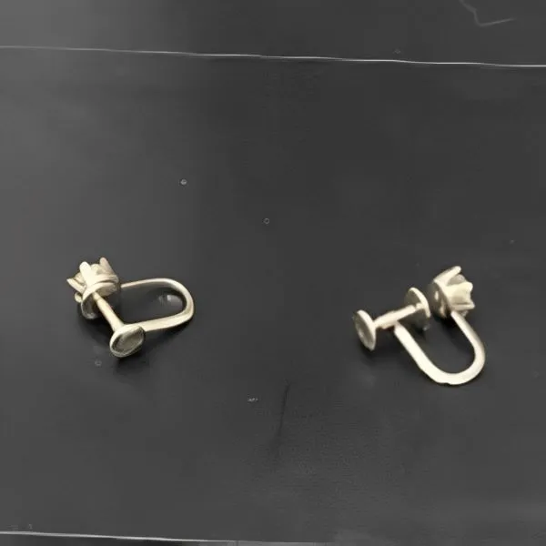 pt900　ピアス